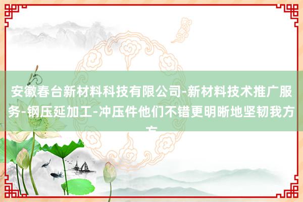 安徽春台新材料科技有限公司-新材料技术推广服务-钢压延加工-冲压件他们不错更明晰地坚韧我方